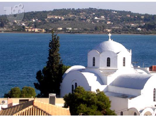 Πωλείται ελαιόλαδο σε προσφορά από το Κρανίδι 20τόνοι προς 3.50€ /kgr...